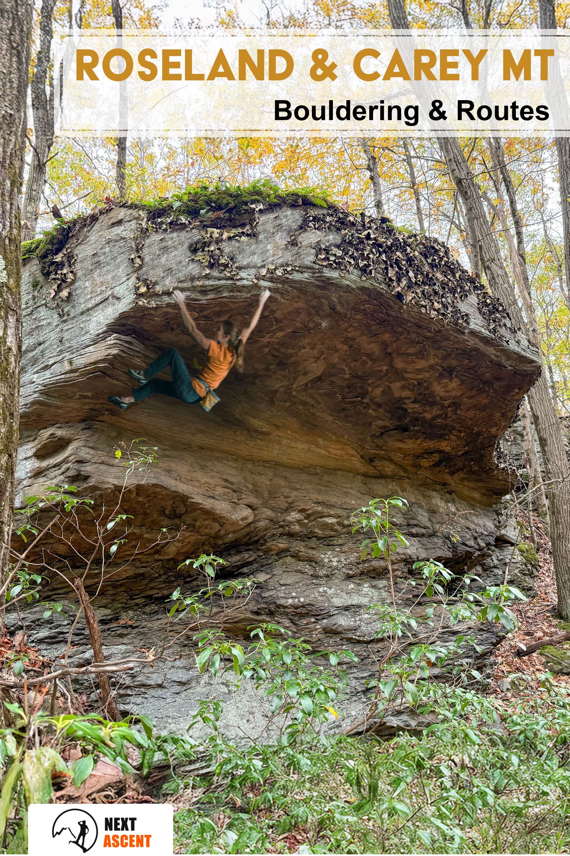 cover image for: Roseland Routes & Bouldering
