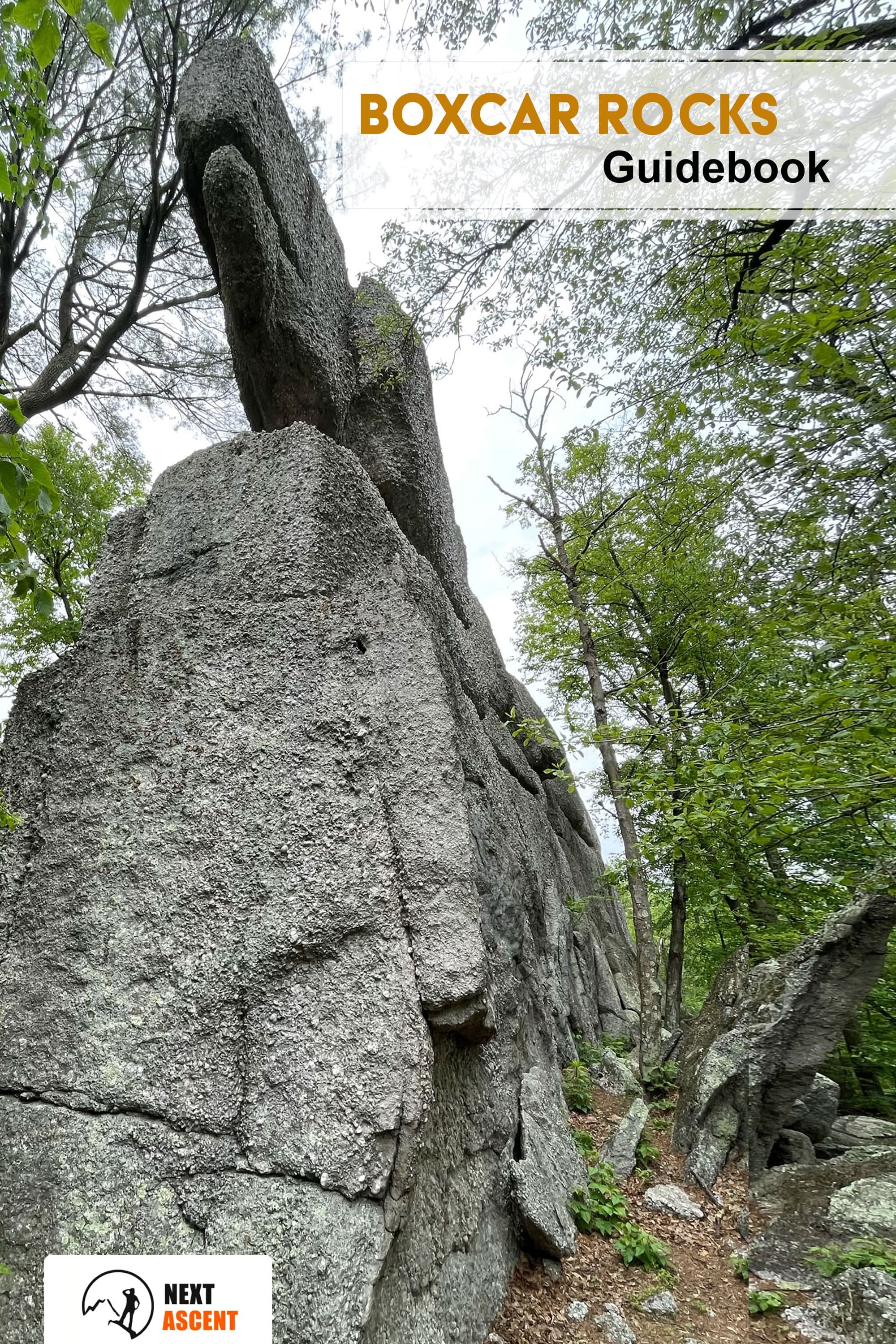 cover image for: Boxcar Rocks
