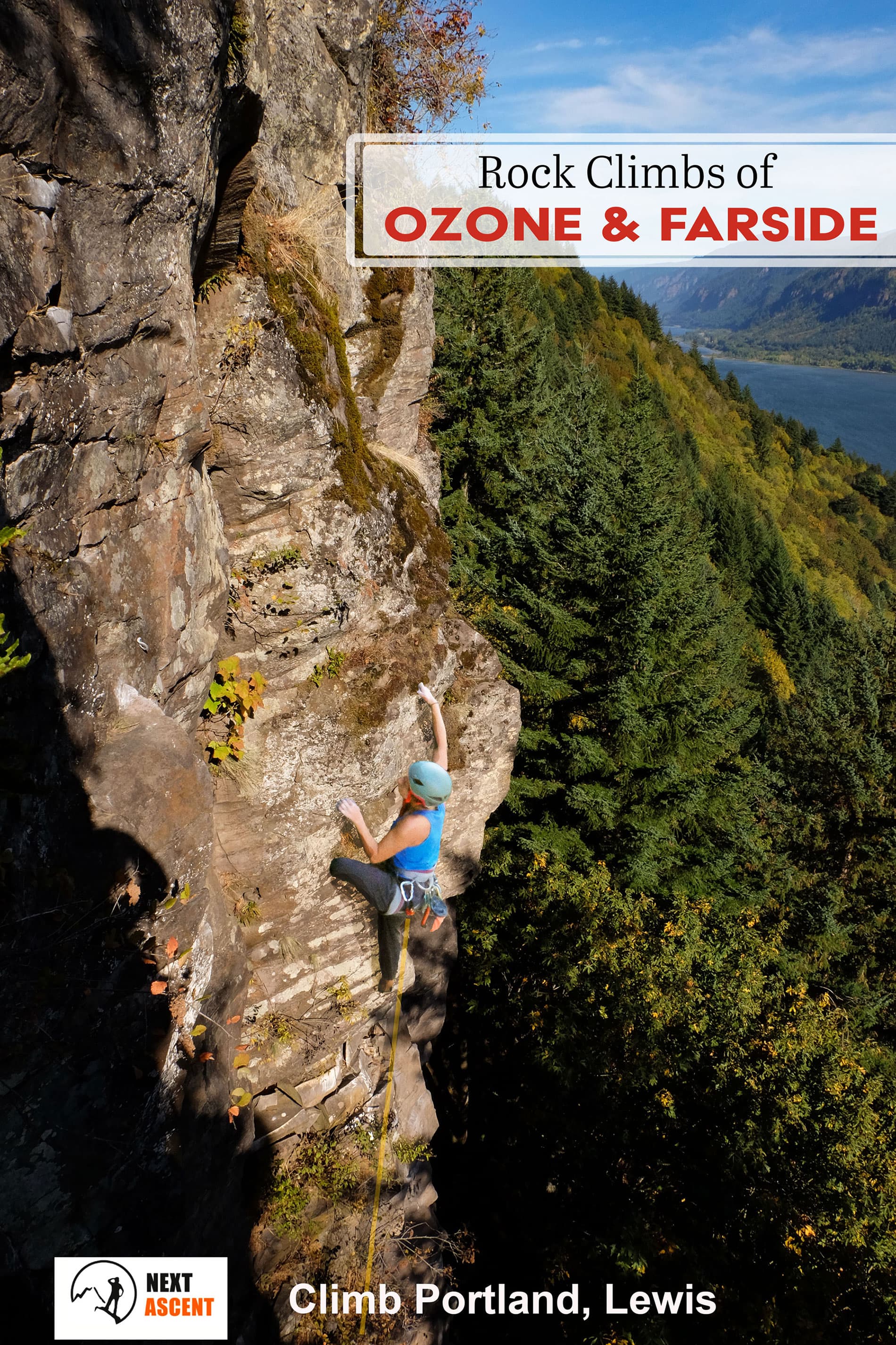cover image for: Ozone & Farside